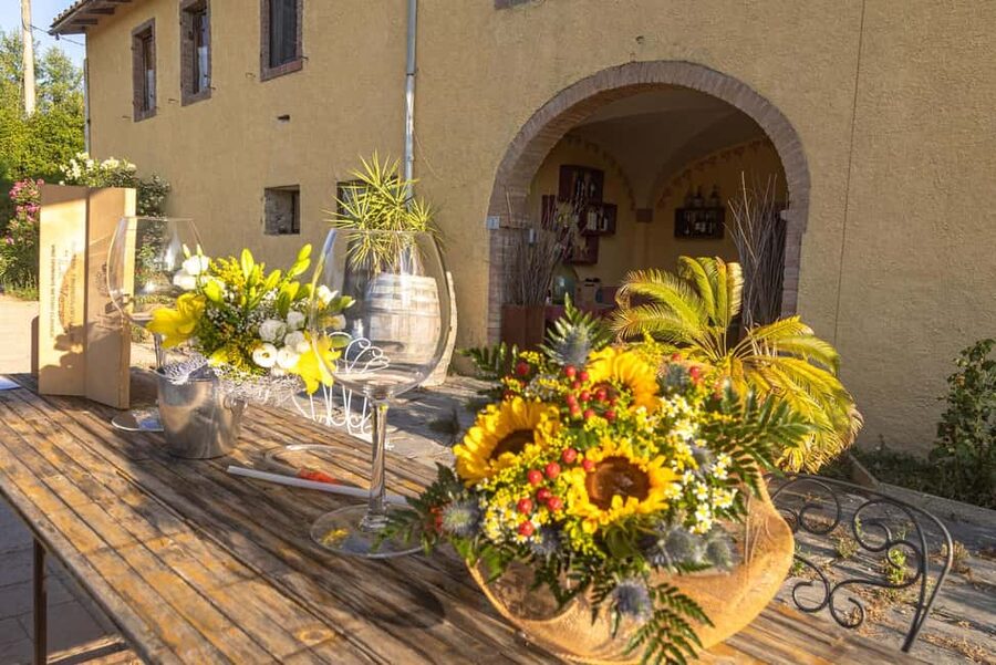 Florence: The secret of wine, cheese and olive oil at a farm - Should you book Fattoria Palaia?