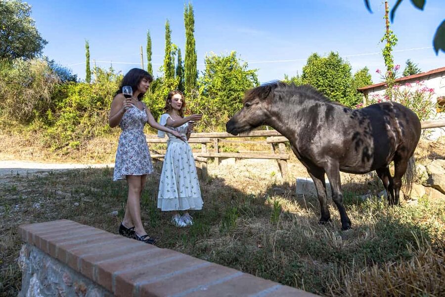 Florence: The secret of wine, cheese and olive oil at a farm - Inside the wine cellar and cheese room