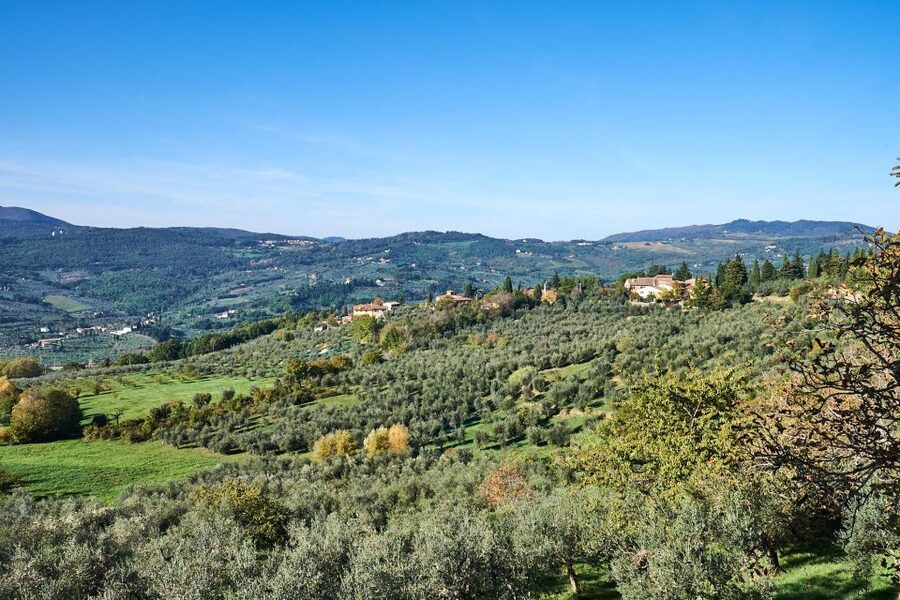 Florence: Vintage Fiat 500 Tour with Wine Tasting at Winery - Is $152 a fair price?