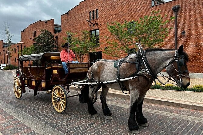 Fort Worth Highlights & Southfork Ranch Combo Tour - Remington, Russell, and the American West