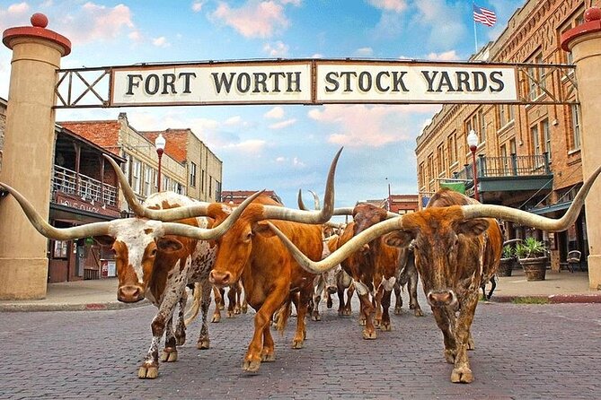 Fort Worth Highlights & Southfork Ranch Combo Tour - Starting with JFK in Fort Worth