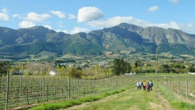 Franschhoek: An enchanting storytelling walk to 3 wine farms
