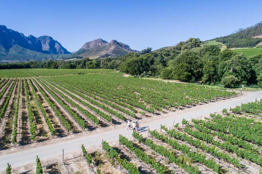 Franschhoek: An enchanting storytelling walk to 3 wine farms - Lunch at La Cotte: the part that makes the day feel complete