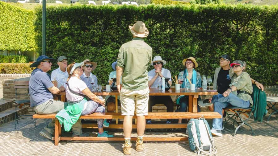 Franschhoek: An enchanting storytelling walk to 3 wine farms - What the storytelling adds to the wine