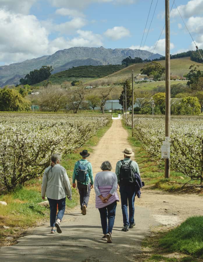 Franschhoek: An enchanting storytelling walk to 3 wine farms - Practical details that affect your decision