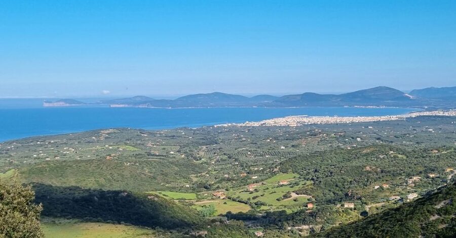From Alghero: Farm to Table cooking experience in Montresta - Value, Timing, and What Is Included