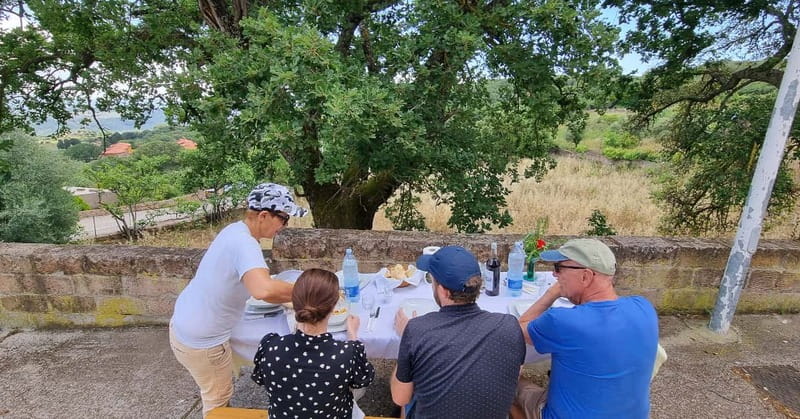From Alghero: Farm to Table cooking experience in Montresta - Who Should Book This Montresta Experience