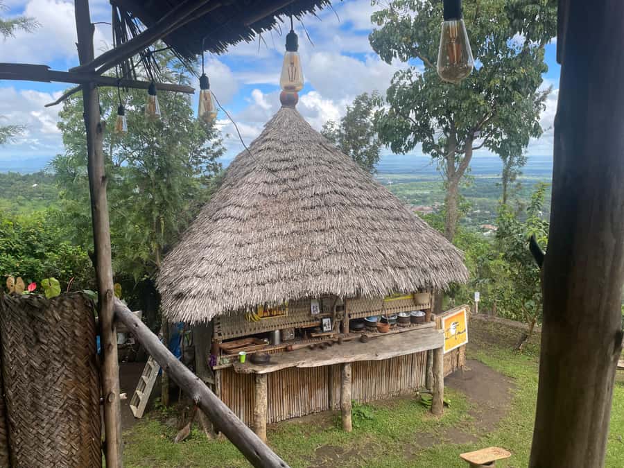 From Arusha: Coffee Farm and Mangalia Waterfalls Tour - Walking to Mangalia Waterfalls
