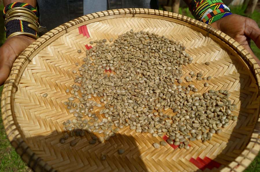 From Arusha: Coffee Farm and Mangalia Waterfalls Tour - What the four-hour schedule feels like