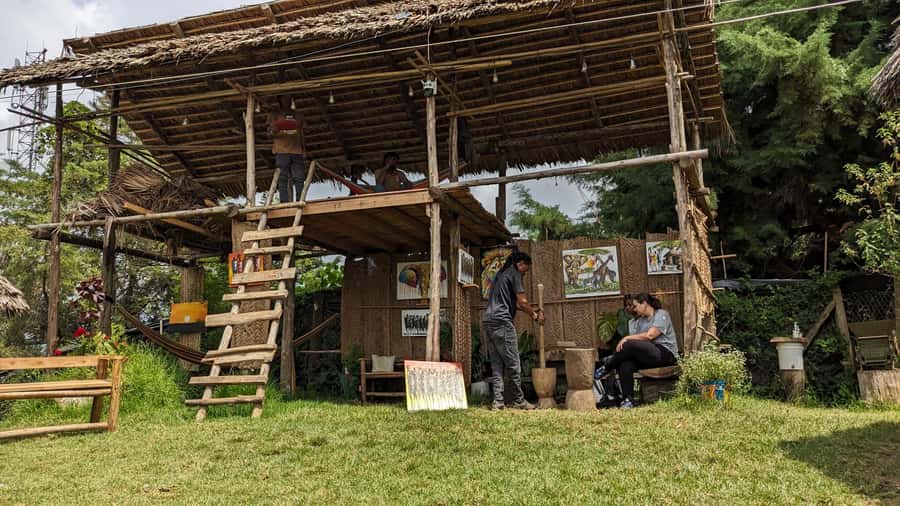 From Arusha: Coffee Farm and Mangalia Waterfalls Tour - A few practical ways to improve the experience