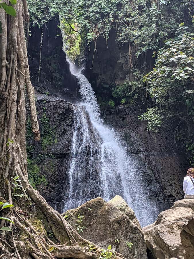 From Arusha: Coffee Farm and Mangalia Waterfalls Tour - A scenic break with banana wine and mountain views