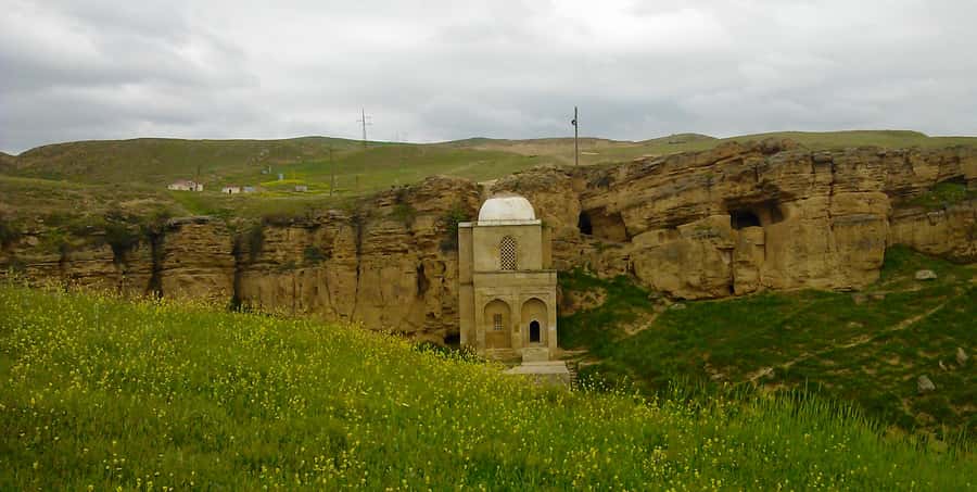 From Baku: Shamakhi City and Alpaca Farm Tour - Feeding and petting the alpacas