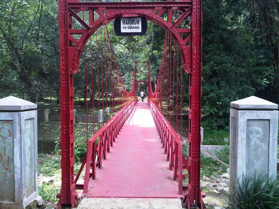 From Bandung: Tea Plantation and Botanical Garden Tour - Puncak tea fields and the morning tea bridge