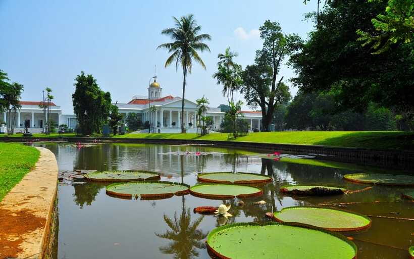 From Bandung: Tea Plantation and Botanical Garden Tour - Exploring Bogor Botanical Garden after the tea fields