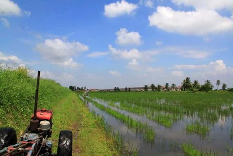 From Bangkok: Mahasawat Canal and farm with Lunch - Making Khao Tang Na Tang from crisp rice
