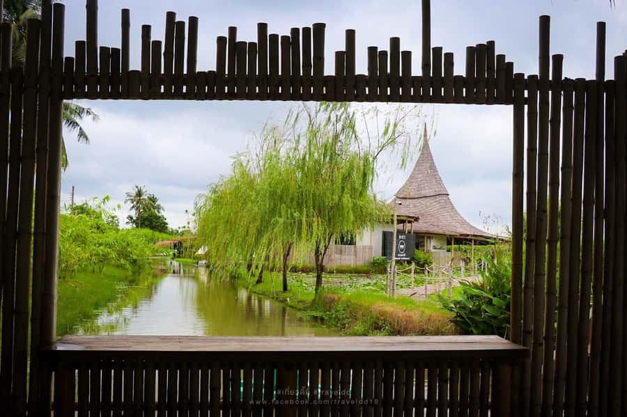 From Bangkok: Mahasawat Canal and farm with Lunch - Gag fruit and the useful oddities of farm life
