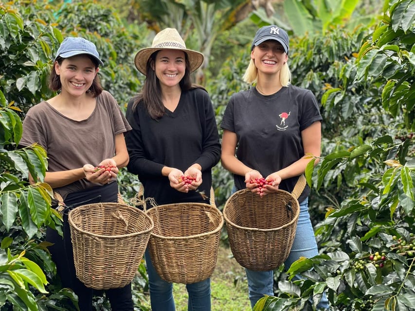 From Bogota: 5 hour guided coffe farm tour - All included - Picking beans instead of just taking pictures