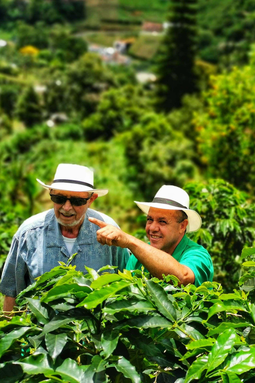 From Bogota: 5 hour guided coffe farm tour - All included - Lunch with local Colombian cooking
