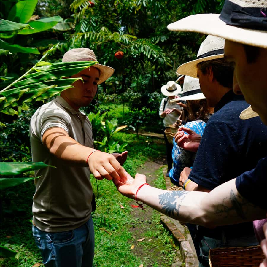 From Bogotá: Coffee Farm and Tequendama Falls Tour - Leaving Bogotá for coffee country