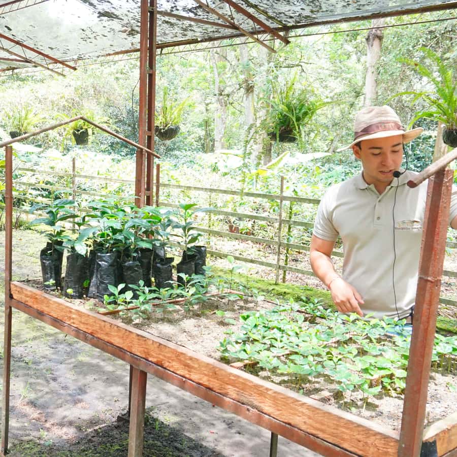 From Bogotá: Coffee Farm and Tequendama Falls Tour - Tequendama Falls and the Bogotá River