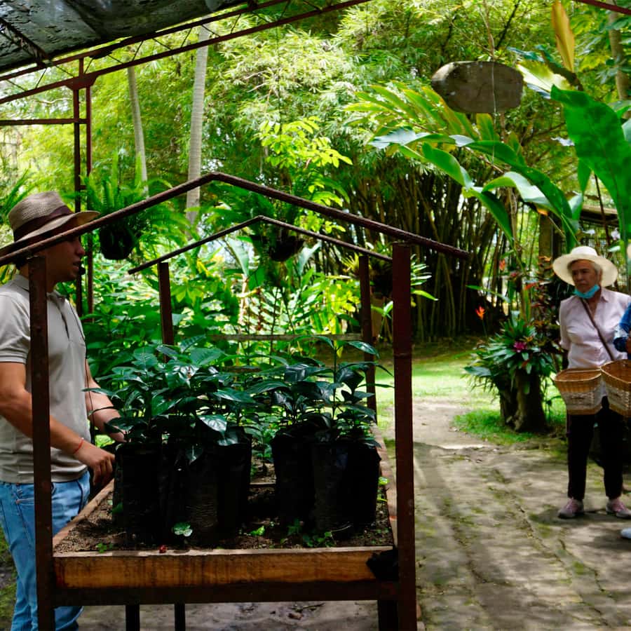From Bogotá: Coffee Farm and Tequendama Falls Tour - Birds, flowers, and a slower pace