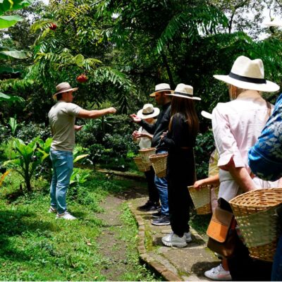 From Bogotá: Coffee Farm and Tequendama Falls Tour