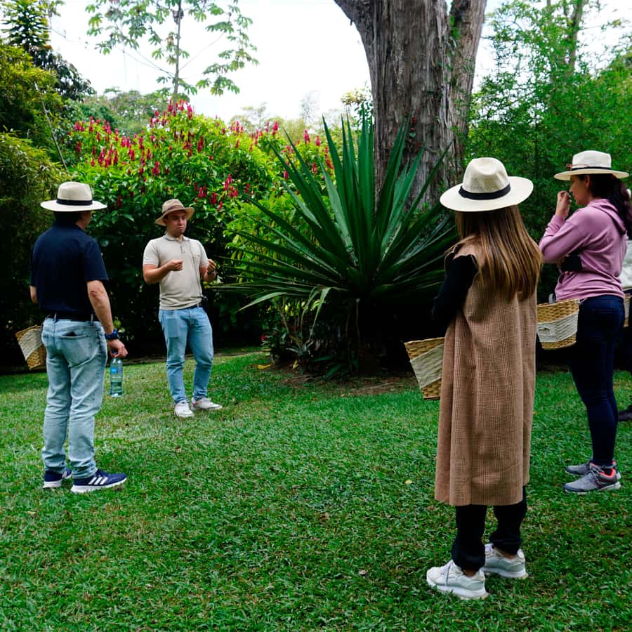 From Bogotá: Coffee Farm and Tequendama Falls Tour - What the guide can add to the day