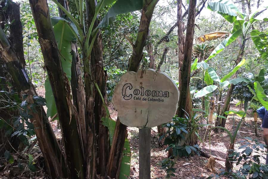 From Bogotá: Coffee Farm Experience Private Day Tour - The ride from Bogotá to Fusagasugá