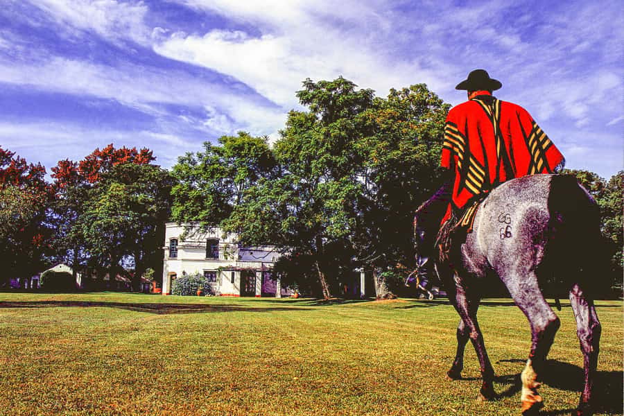 From Buenos Aires: Gaucho and Ranch Day Tour - Arriving at the estancia with empanadas and a choice of rides