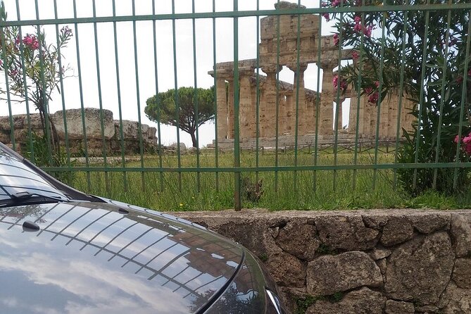 From Castellabate: Paestum Temples+Mozzarella Farm - What the $530.98 price really buys you