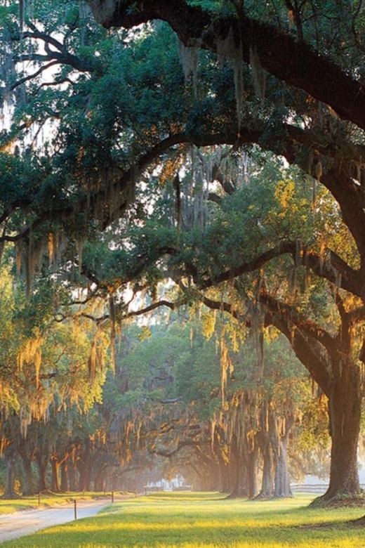 From Charleston: Boone Hall Plantation Entry with Transfers - The Gullah Presentation Is the Emotional Center