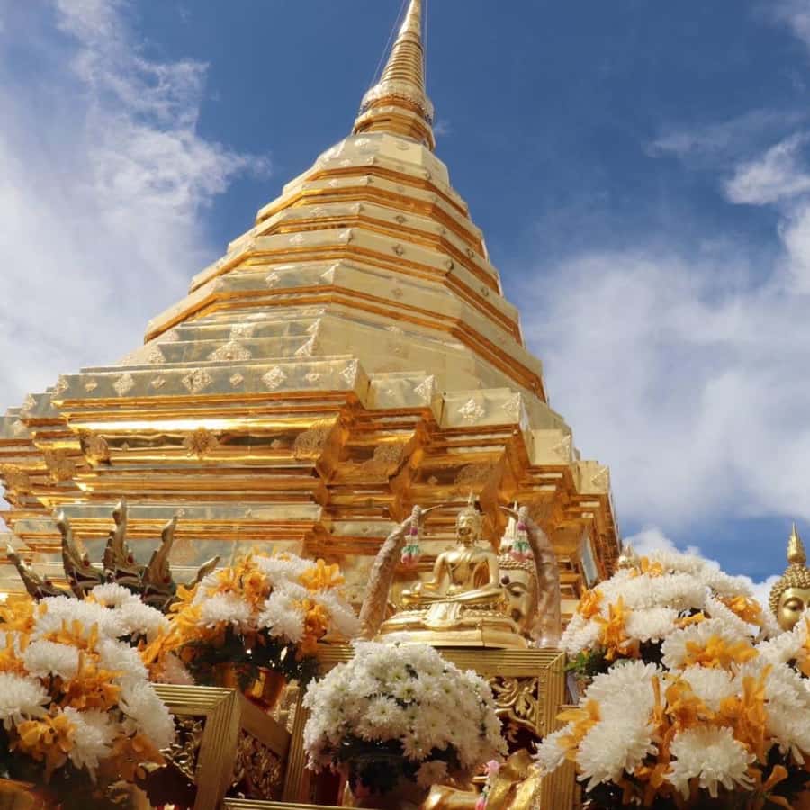 From Chiang Mai: Temples, Sticky Waterfall, and Orchid Farm - At a glance