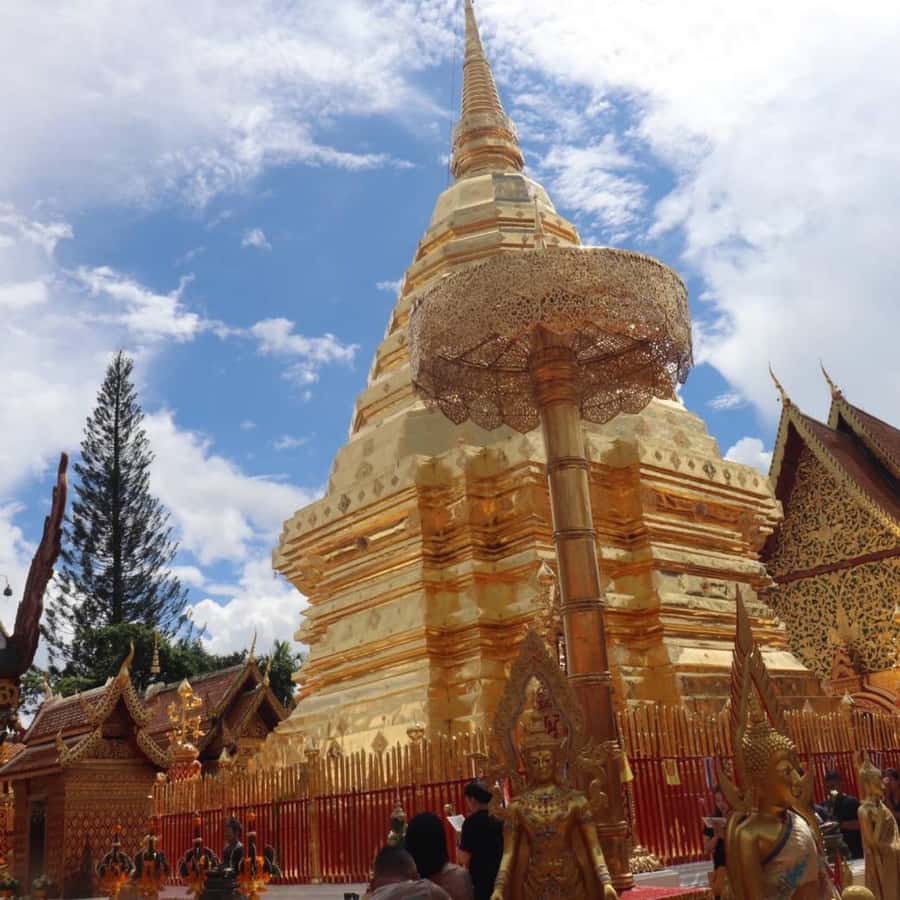 From Chiang Mai: Temples, Sticky Waterfall, and Orchid Farm - Why this day works so well