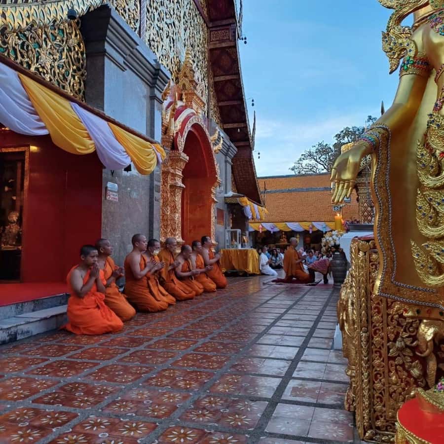 From Chiang Mai: Temples, Sticky Waterfall, and Orchid Farm - Bua Tong Sticky Waterfall, the active finish