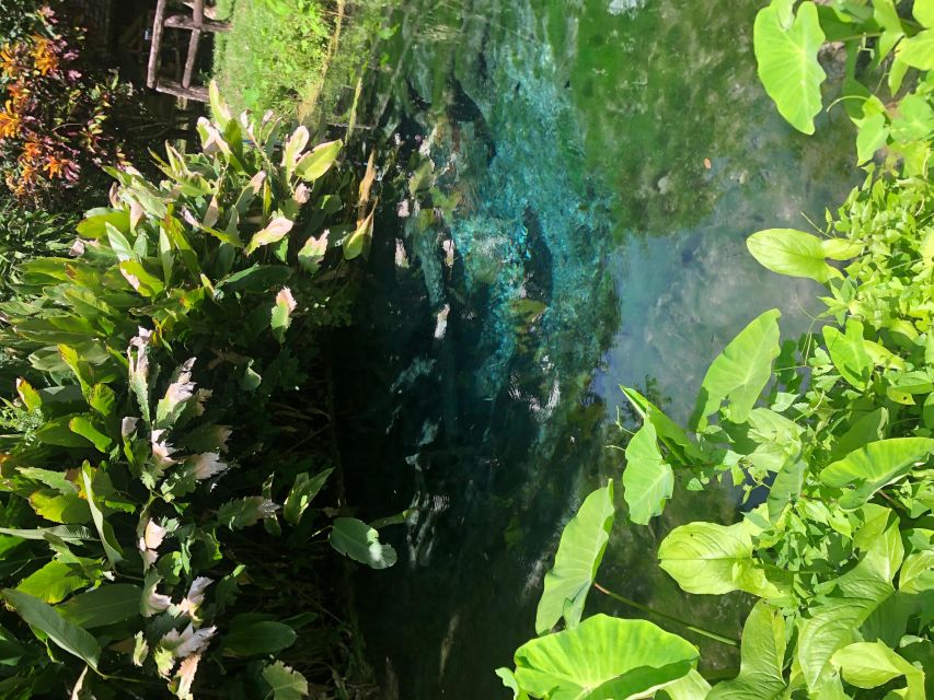 From Chiang Mai: Temples, Sticky Waterfall, and Orchid Farm - What the guide and vehicle add