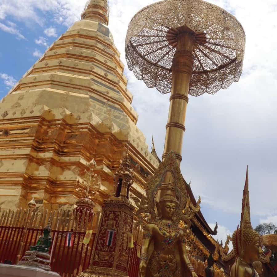 From Chiang Mai: Temples, Sticky Waterfall, and Orchid Farm - Timing, clothing, and practical preparation