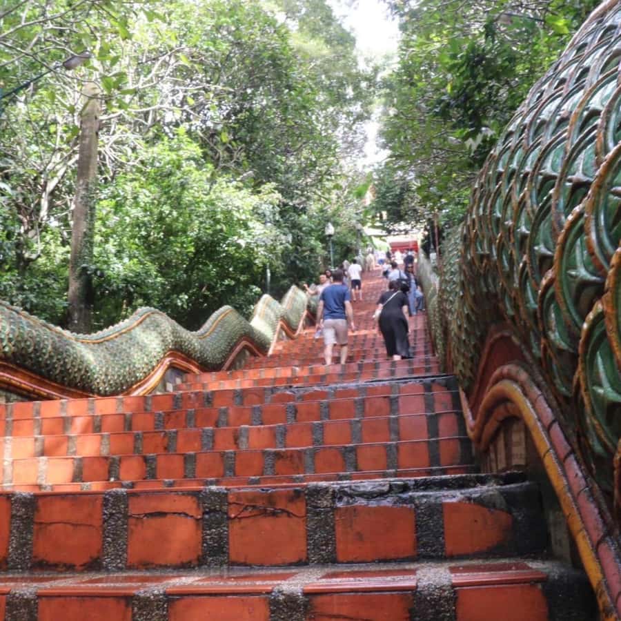 From Chiang Mai: Temples, Sticky Waterfall, and Orchid Farm - Who should book this Chiang Mai day trip?