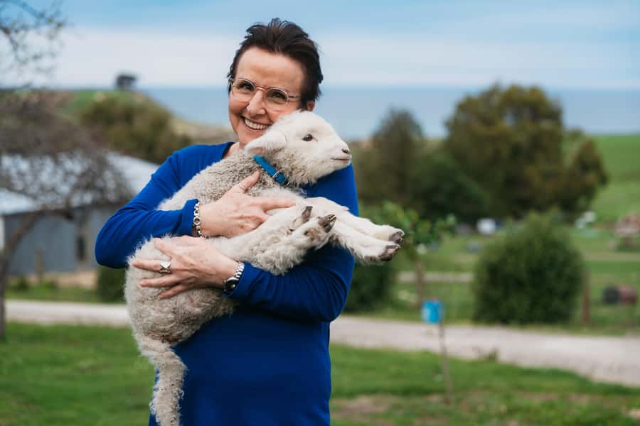 From Christchurch: Sheep Farm Experience with Lunch & Winery - Key points at a glance