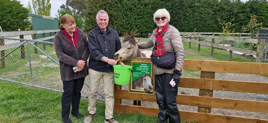 From Christchurch: Sheep Farm Experience with Lunch & Winery - The 45-minute drive from Christchurch