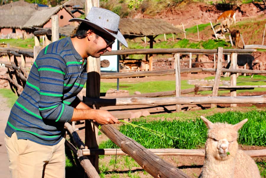 From Cusco: Private Pisac Ruins and Alpaca Farm Day Trip - Why this five-hour trip works from Cusco