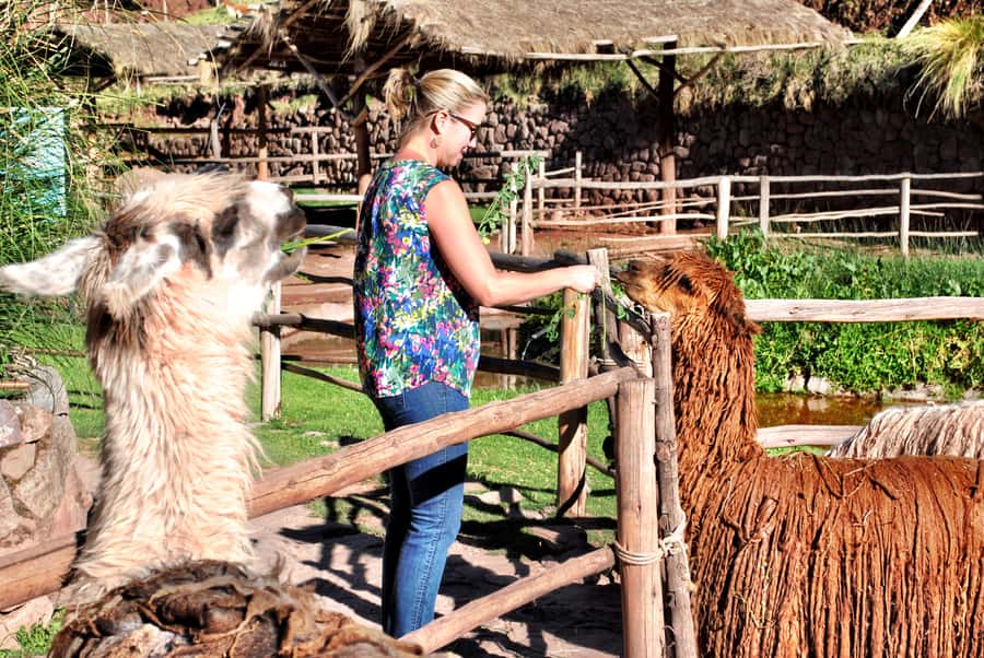 From Cusco: Private Pisac Ruins and Alpaca Farm Day Trip - Leaving Cusco for Pisac’s high ruins
