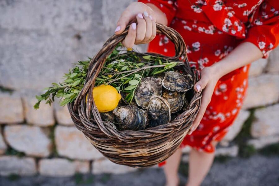 From Dubrovnik: Mali Ston Oysters Farm & Boat Experience - Who will enjoy this Mali Ston experience?