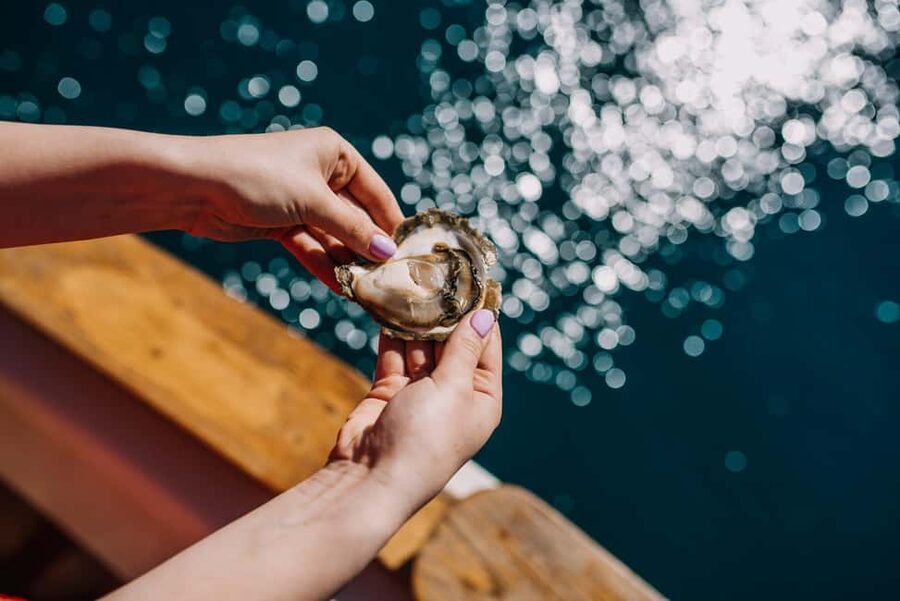 From Dubrovnik: Mali Ston Oysters Farm & Boat Experience - The drive from Dubrovnik to Mali Ston