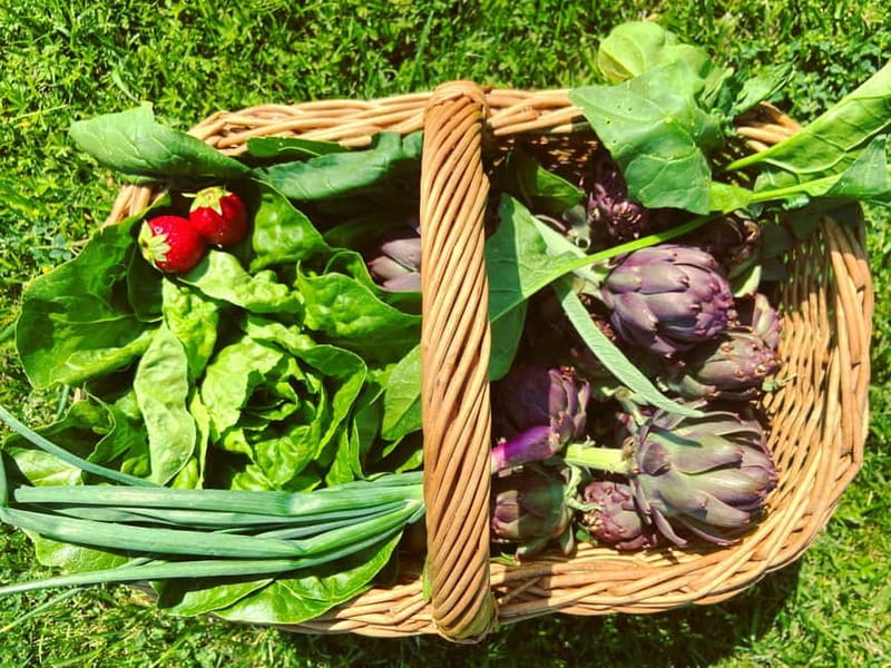 From Florence: Cooking Experience at hilltop farm in Tuscany - Key points to know before booking
