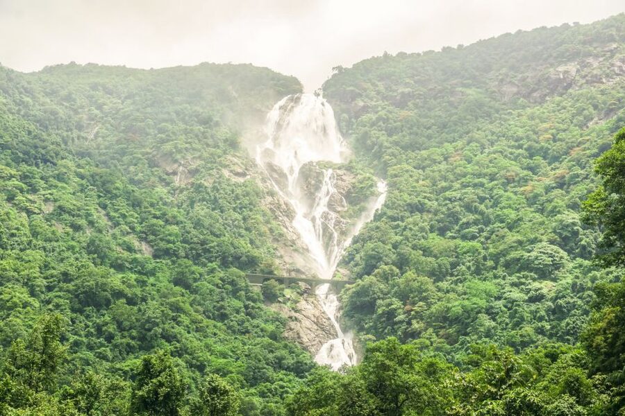 From Goa: Dudhsagar Waterfalls & Plantation Tour - Key points to know before booking