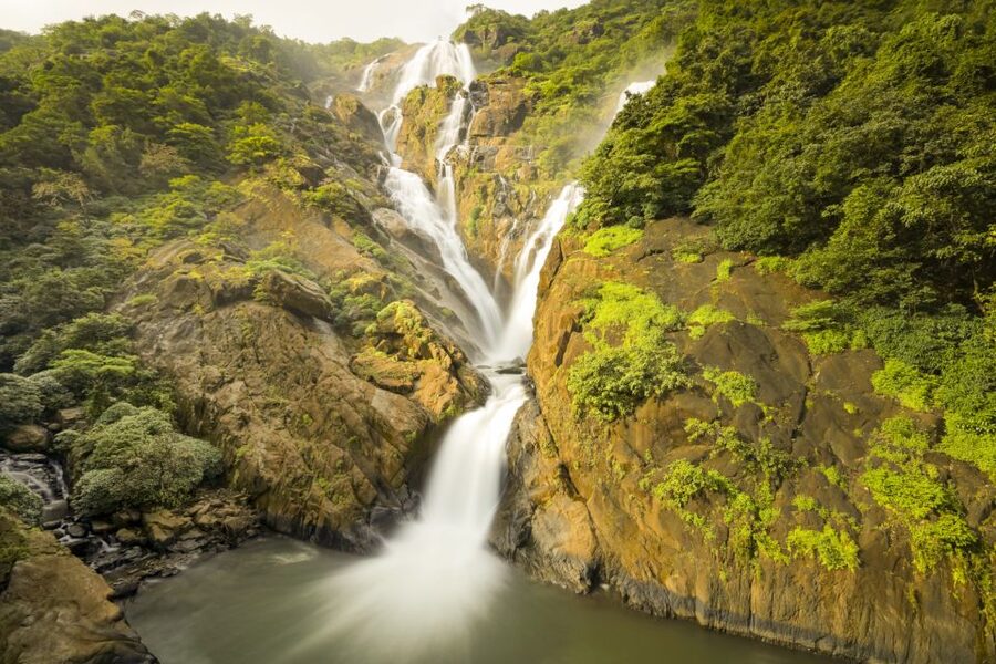 From Goa: Dudhsagar Waterfalls & Plantation Tour - The jeep ride across Mollem National Park
