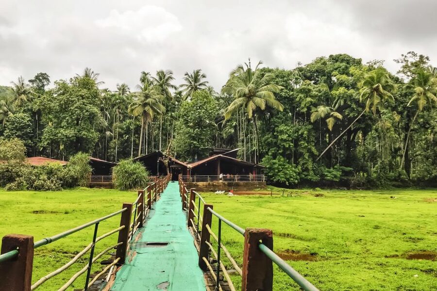 From Goa: Dudhsagar Waterfalls & Plantation Tour - One hour at the Dudhsagar waterfall base