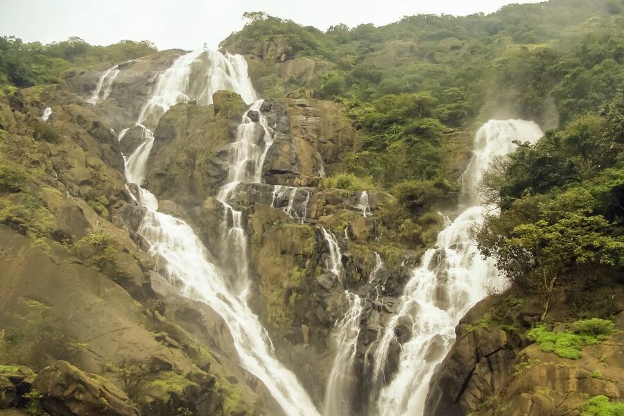 From Goa: Dudhsagar Waterfalls & Plantation Tour - A buffet-style Goan lunch