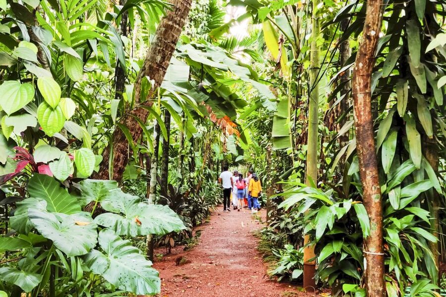 From Goa: Dudhsagar Waterfalls & Plantation Tour - What $109 includes, and what it does not