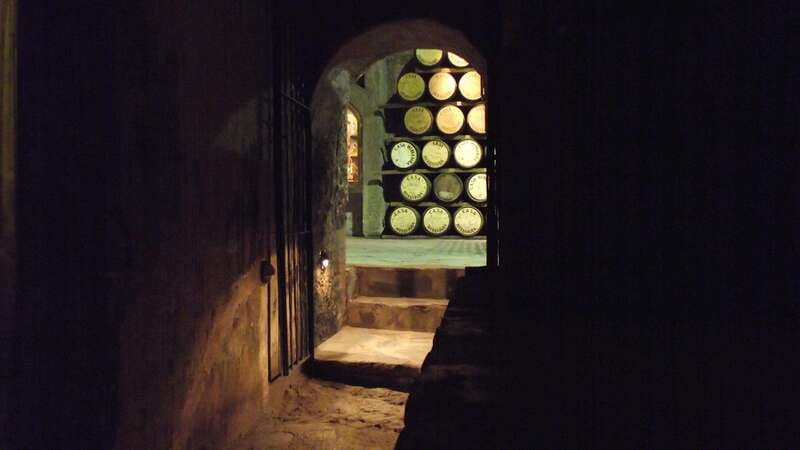 From Guadalajara: Visiting Hacienda Casa herradura. Unique! - What the $128 price includes